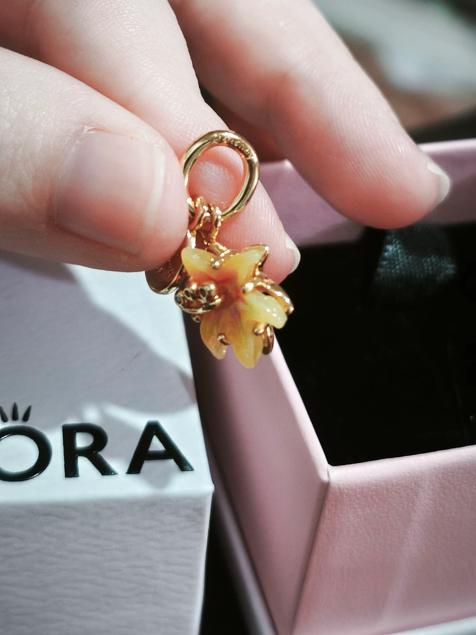 Charm Rapunzel – photo 6